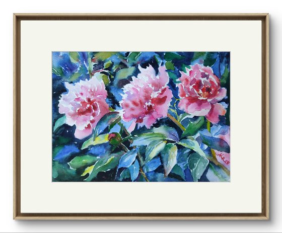 Pink peonies