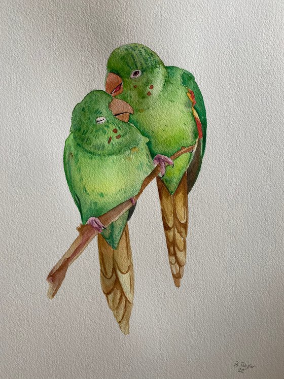 Parrots in love