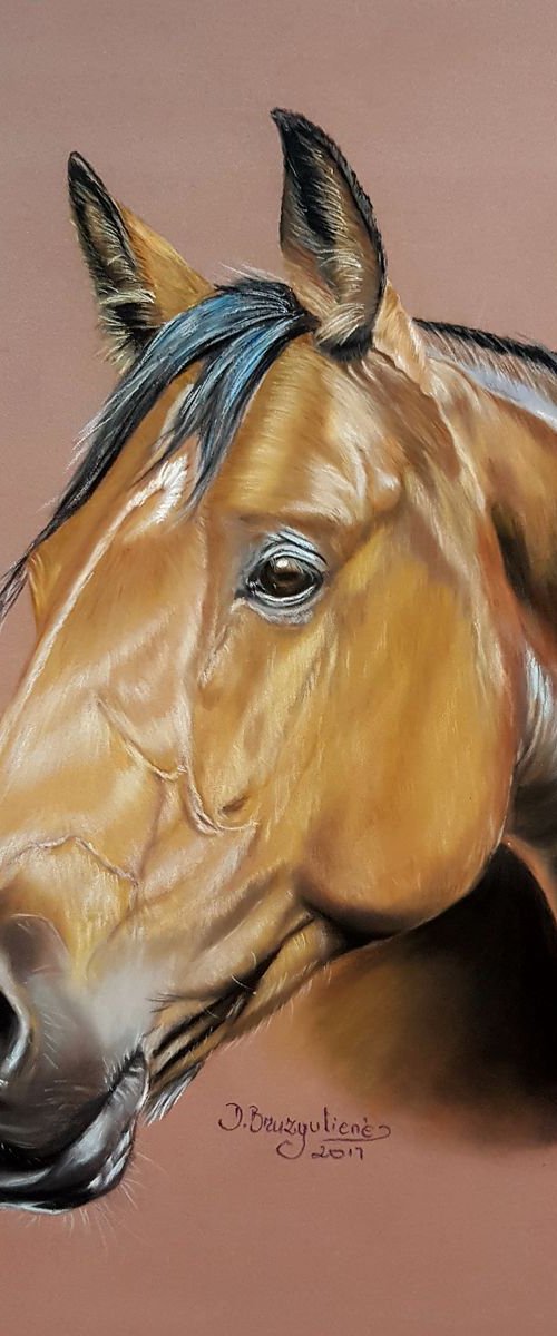 Pastel painting on Paper ,, Horse Aristo'' by Deimante Bruzguliene