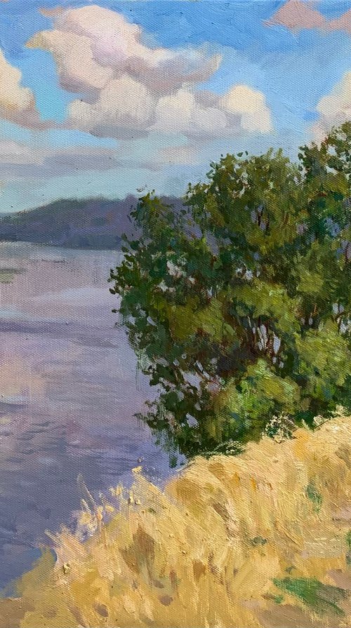 "Above the Dnipro" by Andriy Berekelia