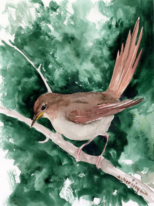 Nightingale by Suren Nersisyan