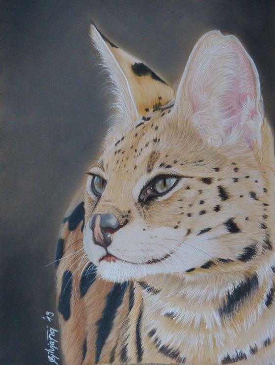 Serval