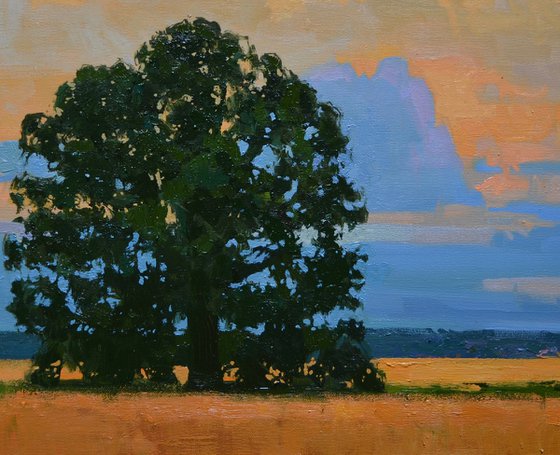 While the Oak Remembers