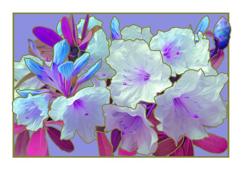 Violet Rhododendrons by Rod Vass
