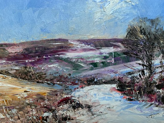 Winter Moor Danby