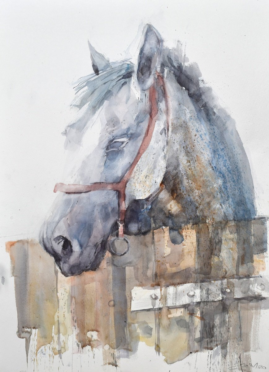 Head of horse 09(70x50) by Goran Zigolic Watercolors