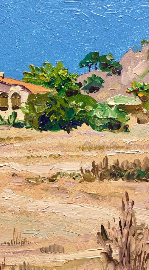 Turkish Fethiye by Ole Karako