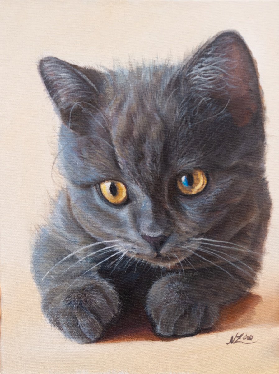 Photorealistic Animal Acrylic Painting By Norma Beatriz Zaro, 7 X 9", Baby Cat 6, Original Artwork