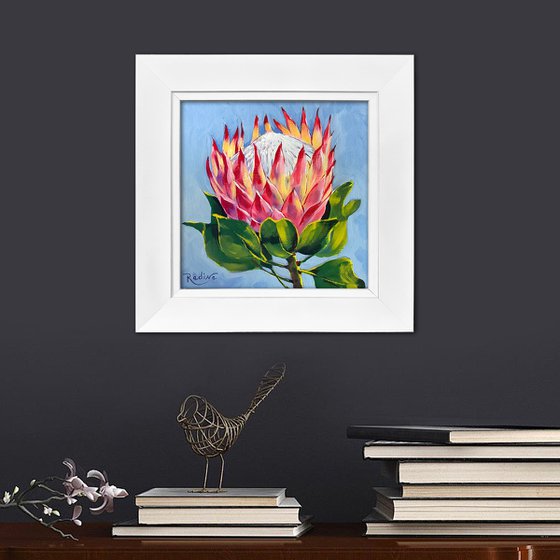 King Pink Protea