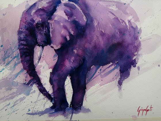 elephant 13