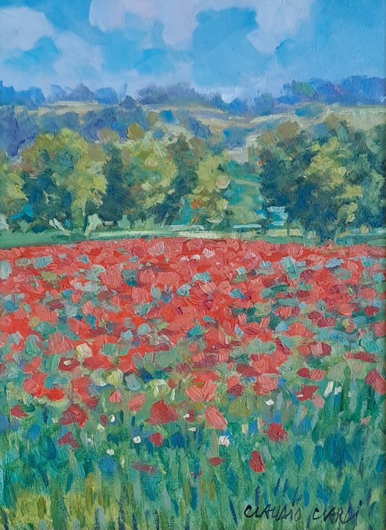 Fields of poppies