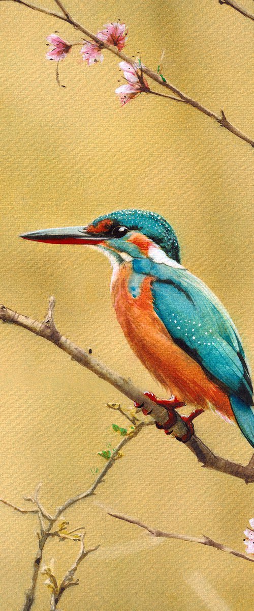 Kingfisher II by REME Jr.