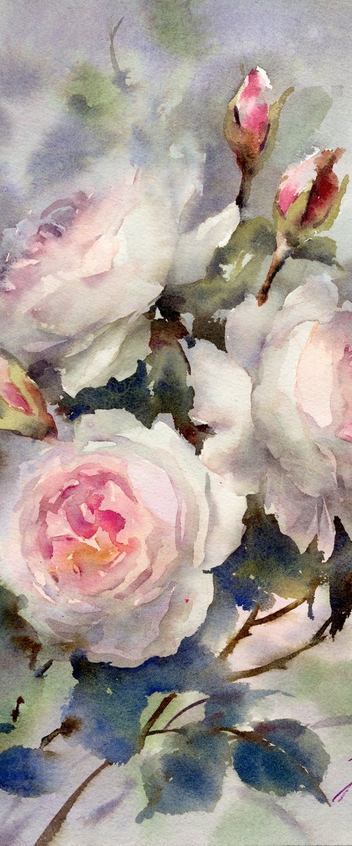 Watercolor roses on grey by Yulia Evsyukova