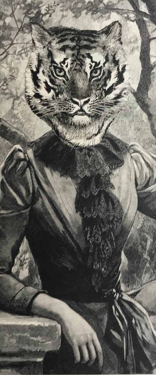 Tiger tiger tiger by Tudor Evans