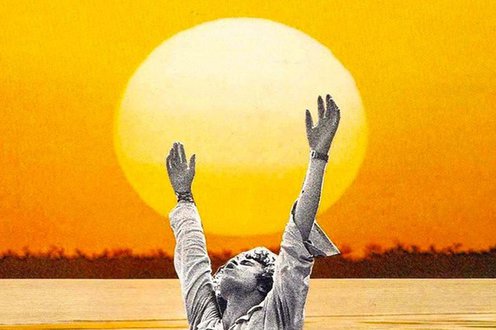 Cover image for Summer Solstice Celebration collection