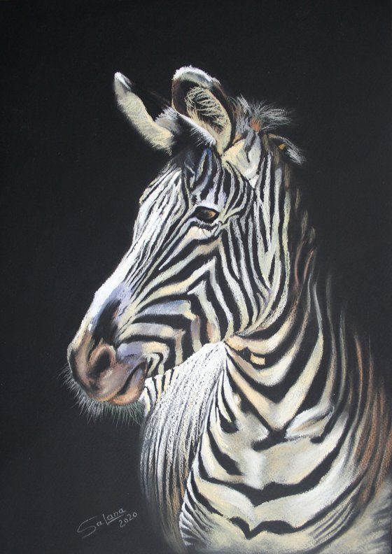 Zebra /  ORIGINAL PAINTING