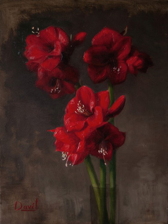“Amaryllis in Red”