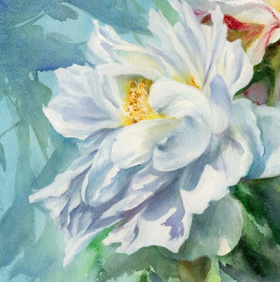 White peonies