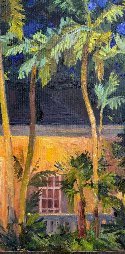 Florida Night by Nataliia Nosyk