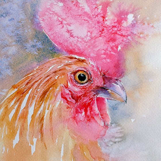 Pink Crown Rooster