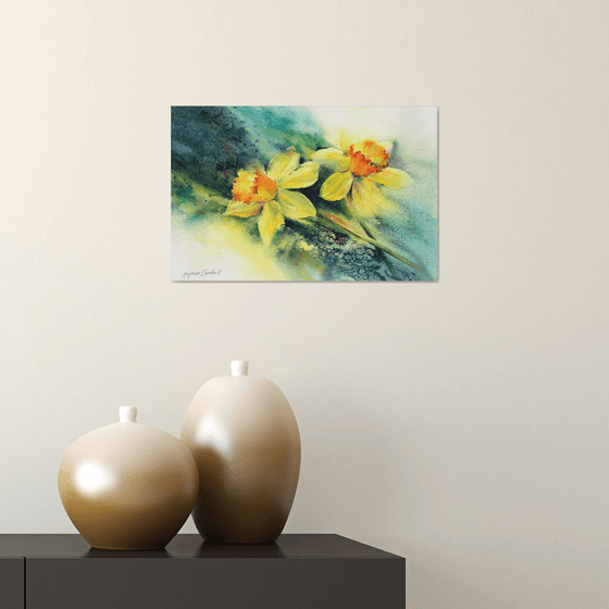 Daffodils