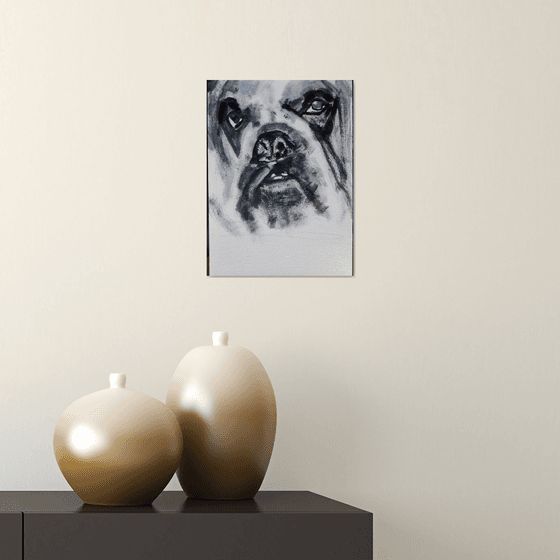 The portrait of English Bulldog