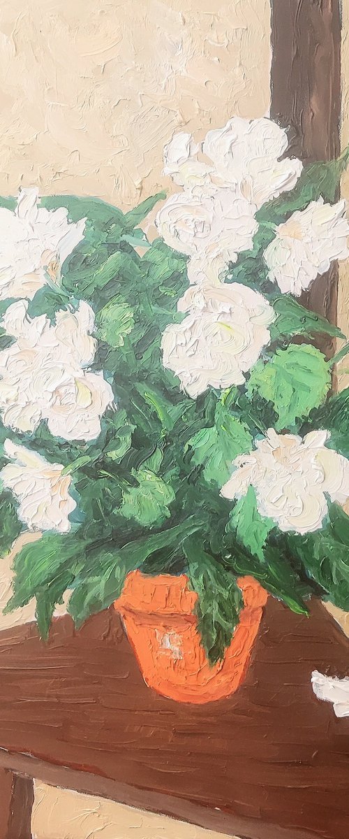 White flowers by Colin Ross Jack