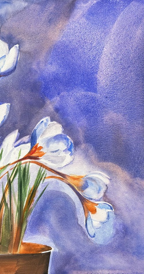 Aqua: Crocuses Before Spring by Alla Semenova