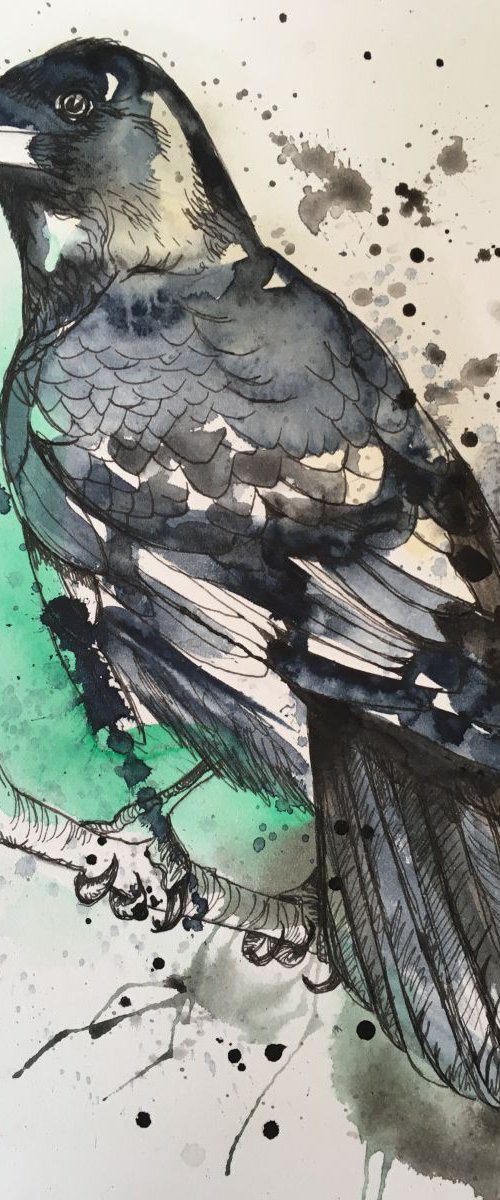 Rook by Amanda Lakin Art
