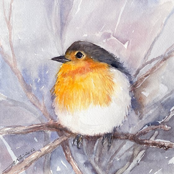 Winter Robin