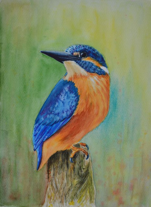 Kingfisher by Neha Soni