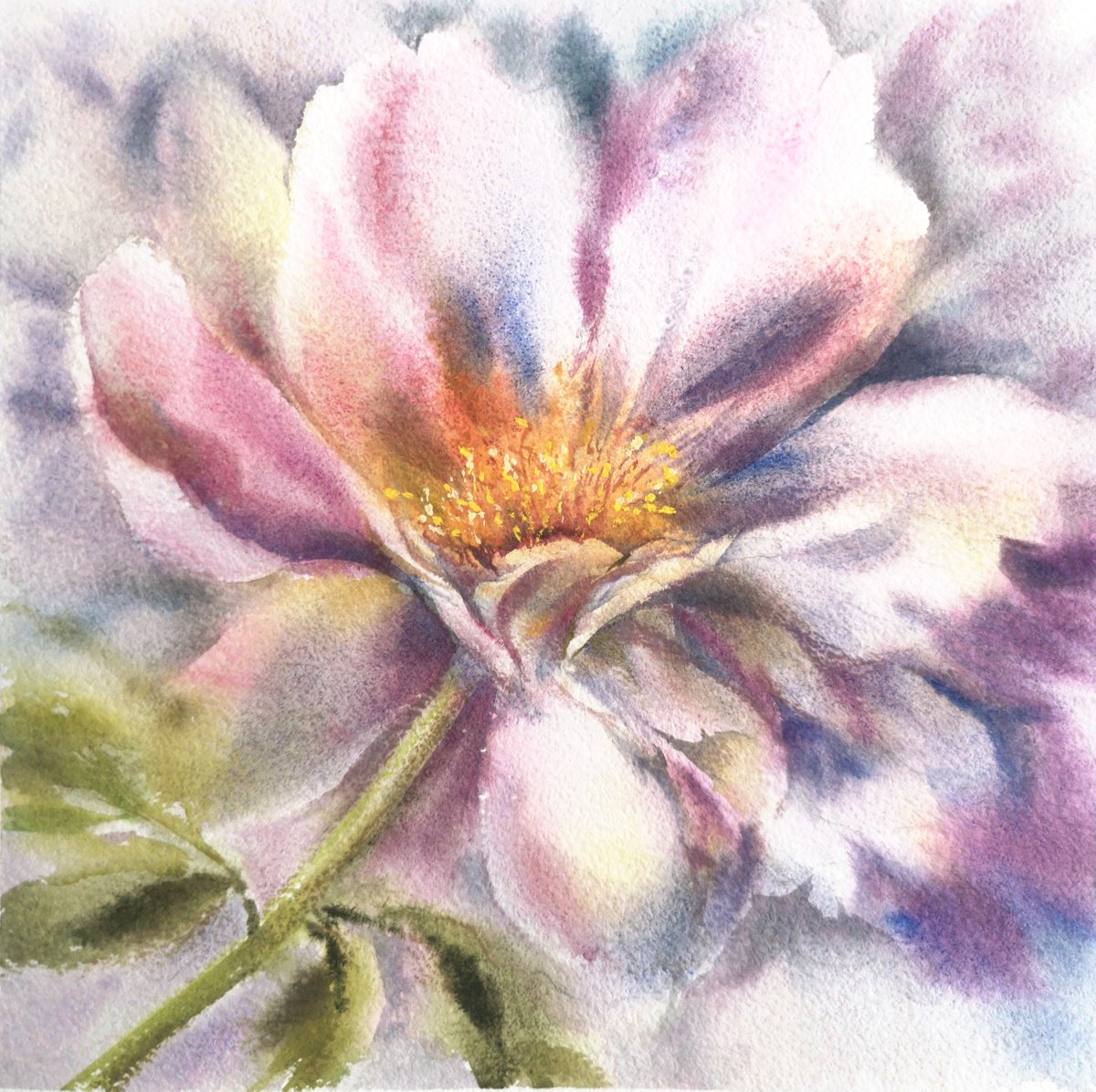 Peony flower watercolor painting by Olya Grigo