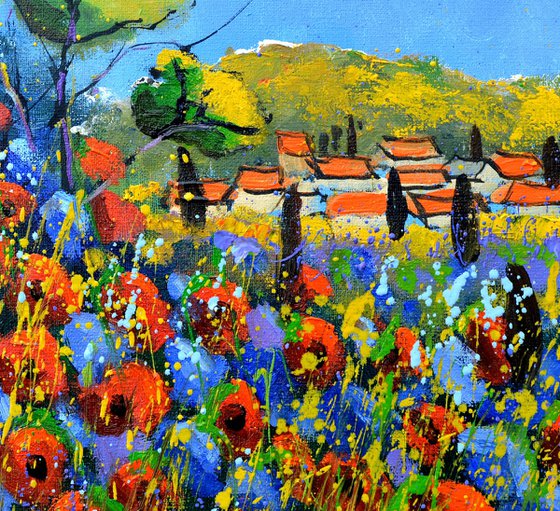 Poppies in Provence