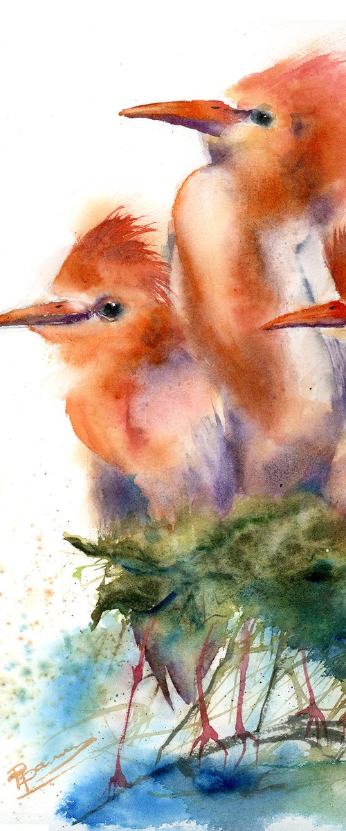 Feathered Trio by Olga Tchefranov (Shefranov)