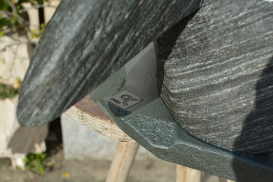 "Particular Insight"