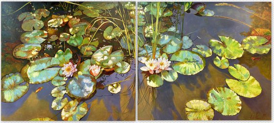 Water Lilies