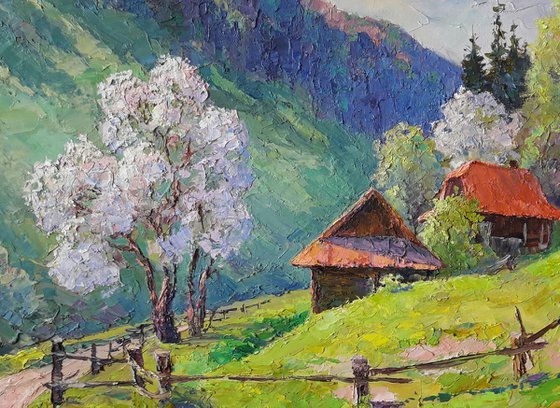 Spring in the Carpathians