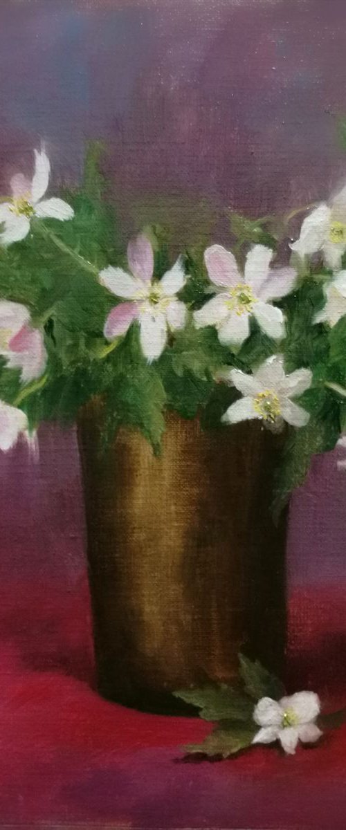 Wood Anemones by Daniela Roughsedge