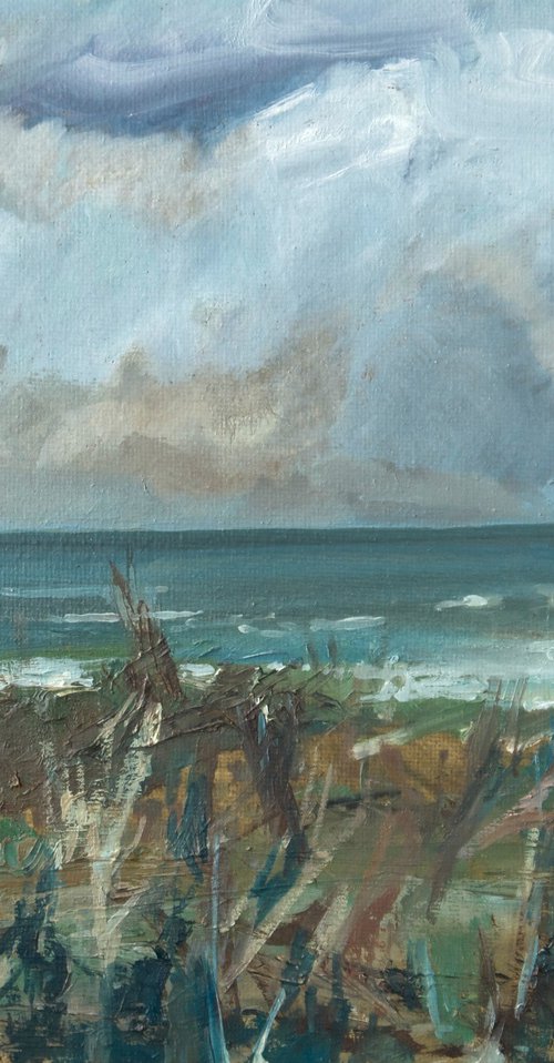 Weathered Coast by Anastasia Chernysheva