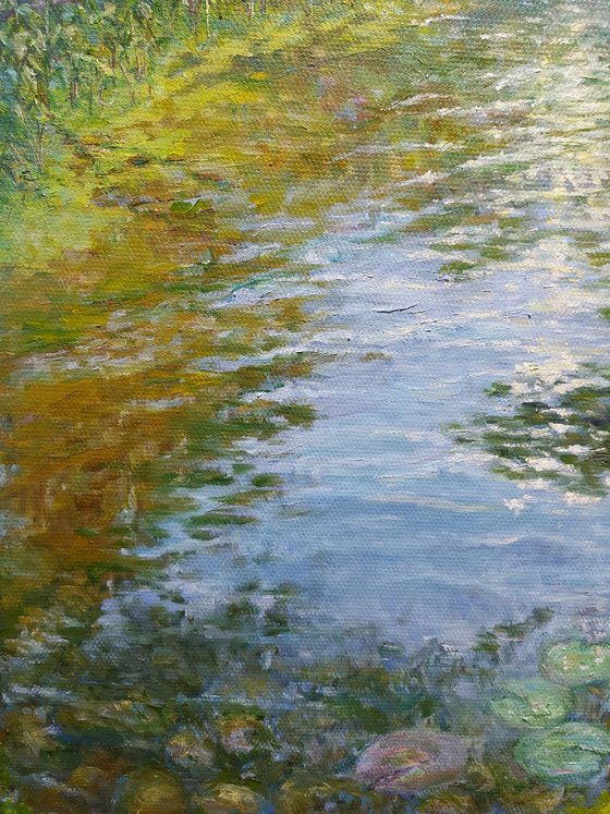 Where the Light settles