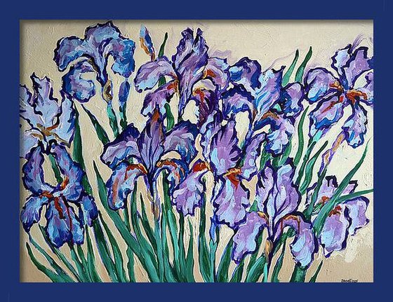 Irises on Cream