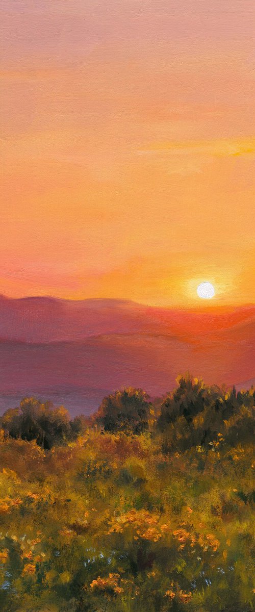 California golden hour landscape by Lucia Verdejo