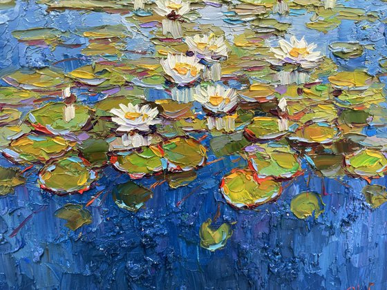 "Water lilies"