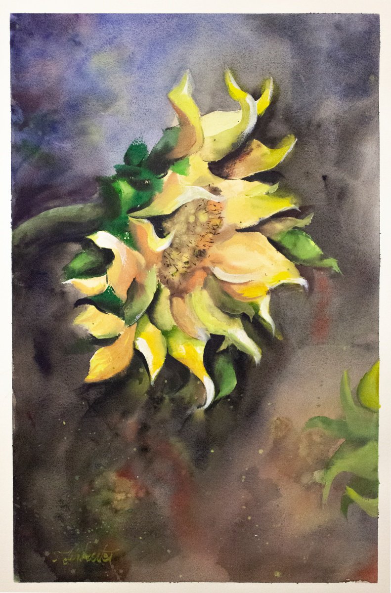 Impressionistic Botanical Watercolour By Tomasz Mikutel, 15 X 22", Watercolour Sunflower, Original Artwork
