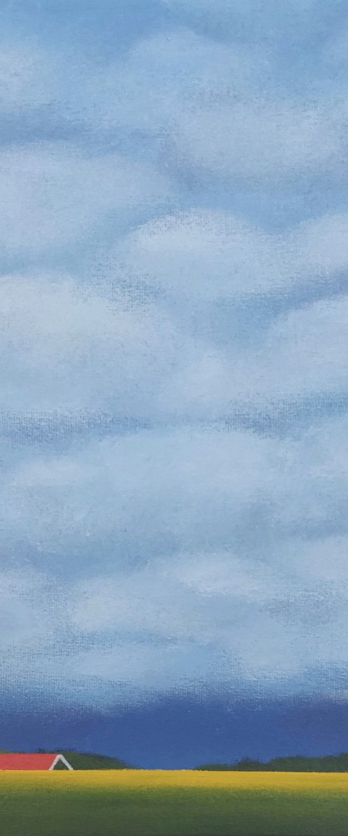 White Clouds, Golden Daffodils by Nelly van Nieuwenhuijzen