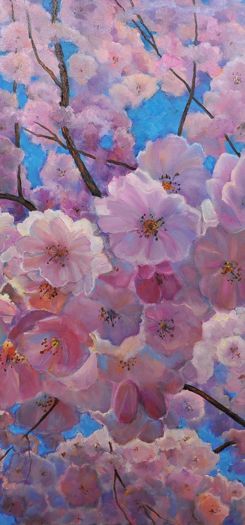 Cherry blossoms by Irina Tolstikova