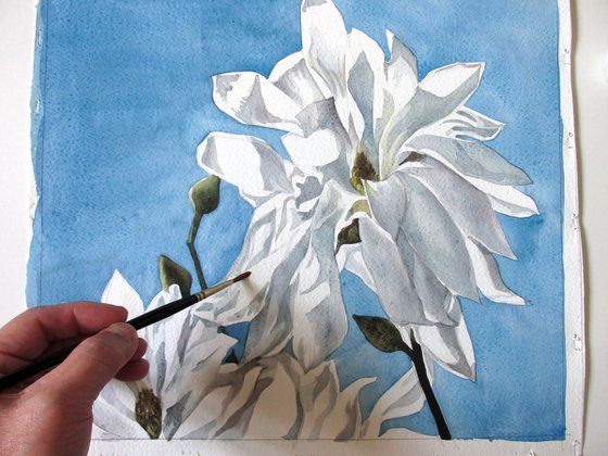 star magnolia watercolor floral