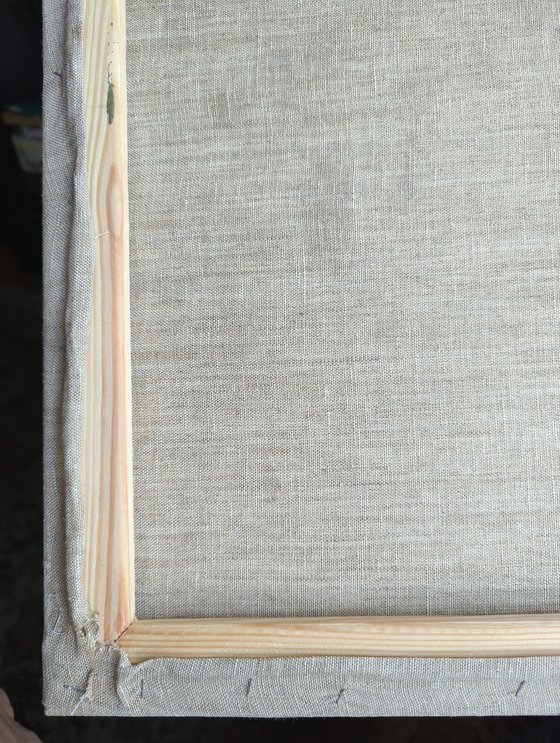 Peonies in the morning garden