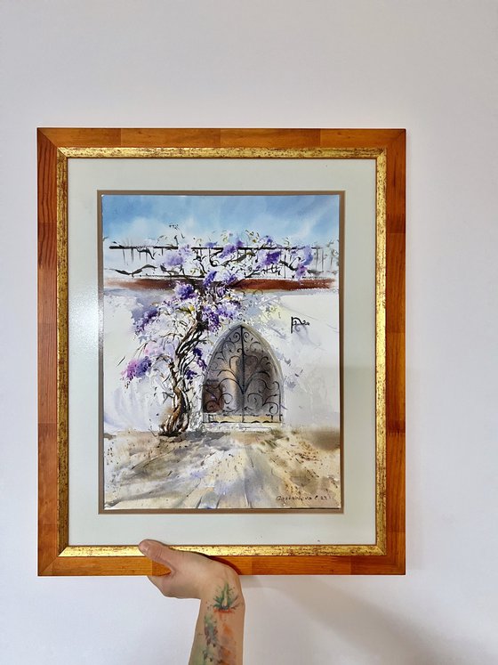 Arch with wisteria Cyprus