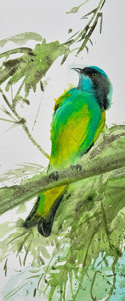 Green Bird by Alla Semenova